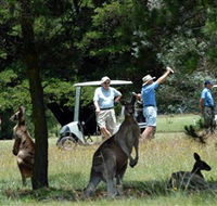 Glen Innes Golf Club - Phillip Island Accommodation