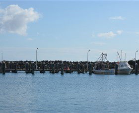 Harrington Bowling Club - Phillip Island Accommodation 2