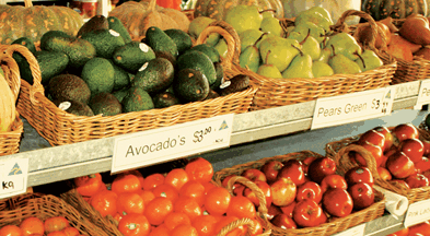 Supply Jervis Bay - Phillip Island Accommodation 2