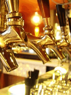 Mary G's - Phillip Island Accommodation