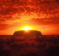 Annie's Place - Phillip Island Accommodation