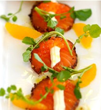 The Terrace On Pittwater - Phillip Island Accommodation 0