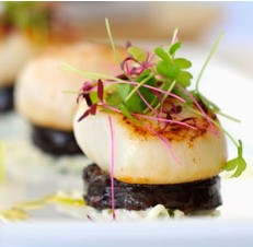 The Terrace On Pittwater - Phillip Island Accommodation 1