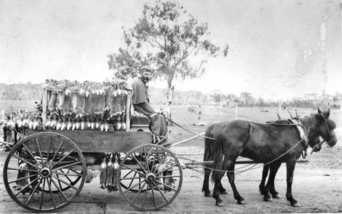 A Tale Of Two Villages - An Exhibition - Phillip Island Accommodation 1