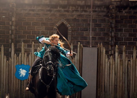 Baroque Horse Festival - Phillip Island Accommodation 0