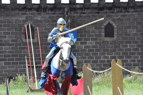 Baroque Horse Festival - Phillip Island Accommodation 1