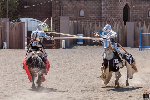 Baroque Horse Festival - Phillip Island Accommodation 2