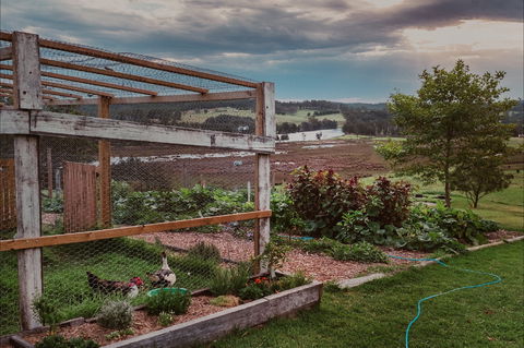 Cupitt's Growers Market - Phillip Island Accommodation 1