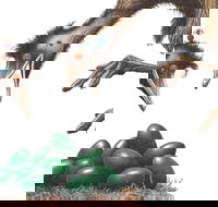 Edward the Emu - Phillip Island Accommodation