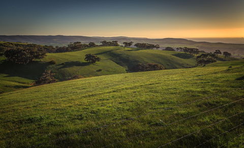 Festival Of Nature - Phillip Island Accommodation 1