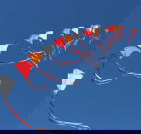 Harden Kite Festival - Phillip Island Accommodation