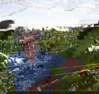 Kingsdale Wines - Cellar Door Wine Tastings - Phillip Island Accommodation