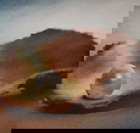 Lecture Cancelled  ADFAS  Lecture Half-Day - Patricia Law speaking on Pearls and Diamonds - Phillip Island Accommodation