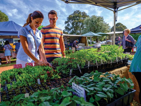 Margaret River Farmers Market - Phillip Island Accommodation 1