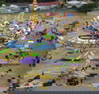 Millicent Agricultural and Horticultural Show - Phillip Island Accommodation