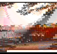 Mullum Circus Festival - Phillip Island Accommodation