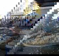 Narrabri Show - Phillip Island Accommodation