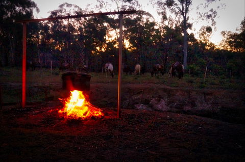 Night Horse Ride And Dinner - Phillip Island Accommodation 2