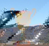 Nimbin Poetry World Cup - Phillip Island Accommodation