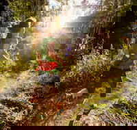 Run Dungog - Phillip Island Accommodation