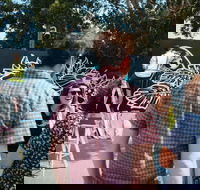 The Big Picture Fest Newcastle - Phillip Island Accommodation