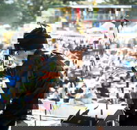 The Entrance Winter Blues and Jazz Festival - Phillip Island Accommodation