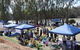 The Great Murray River Salami Festival - thumb 0