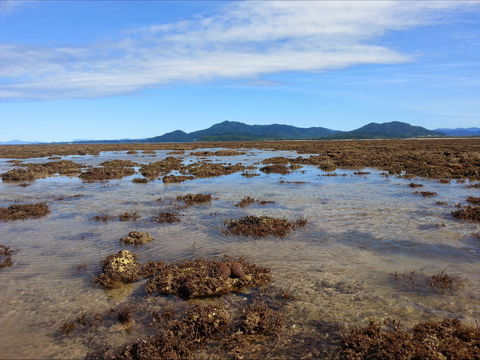 Walk To The Reef - Phillip Island Accommodation 0