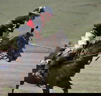 Wirragulla Annual Polo Tournament - Phillip Island Accommodation