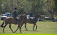 Yankalilla Show - thumb 2