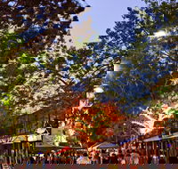 Alice Springs Town Council Night Markets - Phillip Island Accommodation