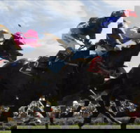 Batemans Bay Cup - Phillip Island Accommodation