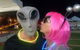 Cardwell UFO Festival 2020 - thumb 0