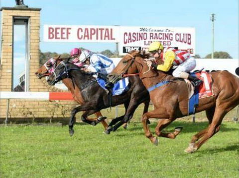 Casino Cup - Phillip Island Accommodation 0