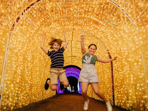 Christmas Lights Spectacular New Year's Eve At Hunter Valley Gardens - Phillip Island Accommodation 0