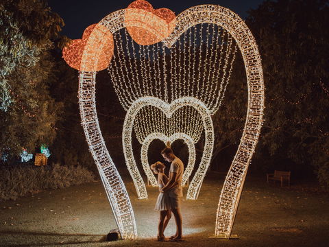 Christmas Lights Spectacular New Year's Eve At Hunter Valley Gardens - Phillip Island Accommodation 1