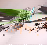 Cooking with Australian Indigenous Spices cooking class - Phillip Island Accommodation