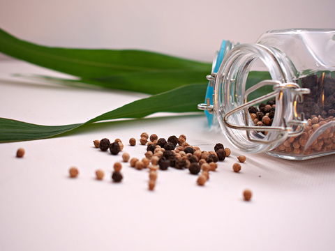 Cooking With Australian Indigenous Spices Cooking Class - Phillip Island Accommodation 0