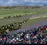 Cooma Sundowners Cup - Phillip Island Accommodation