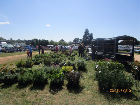 Crookwell Rotary Swap Meet And Market Day - Phillip Island Accommodation 1