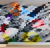 Cuttle-Rock Challenge - CUTTLEFEST 2020 - Whyalla - Phillip Island Accommodation