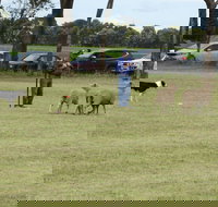 Dean Sheepdog Trials - Old Sniff Classic - Phillip Island Accommodation