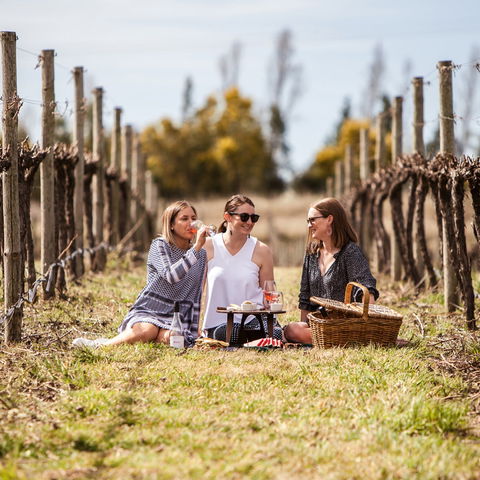 Family Picnic Weekend - Phillip Island Accommodation 0