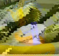 Goulburn Show - Phillip Island Accommodation