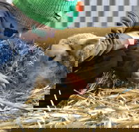 Horsham Agricultural Show - Phillip Island Accommodation