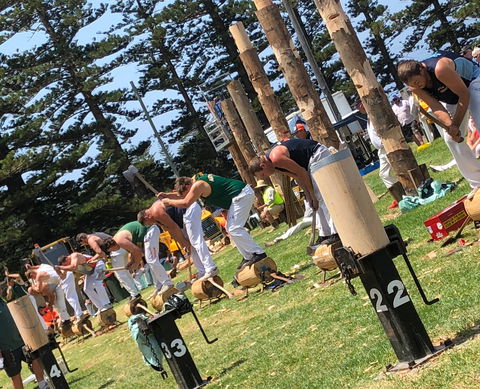 Kiama Show - Phillip Island Accommodation 1