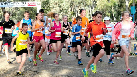 MAAS Group Dubbo Stampede Running Festival - Phillip Island Accommodation 0