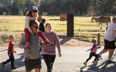 MAAS Group Dubbo Stampede Running Festival - Phillip Island Accommodation 1