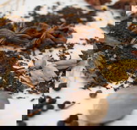 Red Hot Chilli Pepper Spice Blending Class - Phillip Island Accommodation