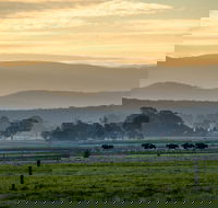 Rotary Club of Maffra Community Market - Phillip Island Accommodation